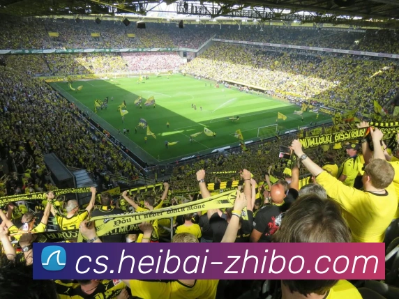 多媒体互动体验